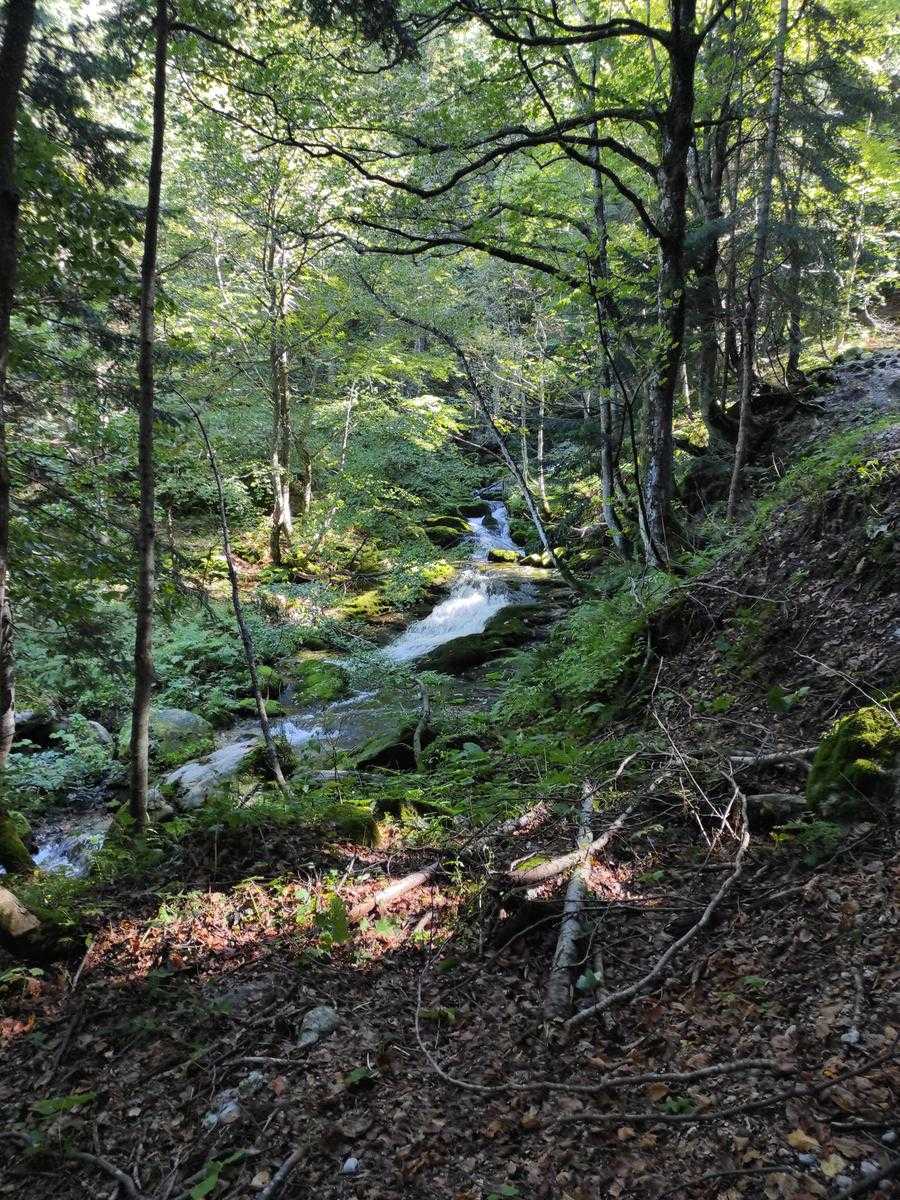 Return trail down to Pian delle Gorre